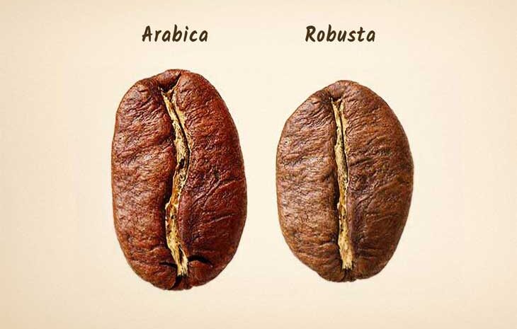  روبستا یا عربیکا؟